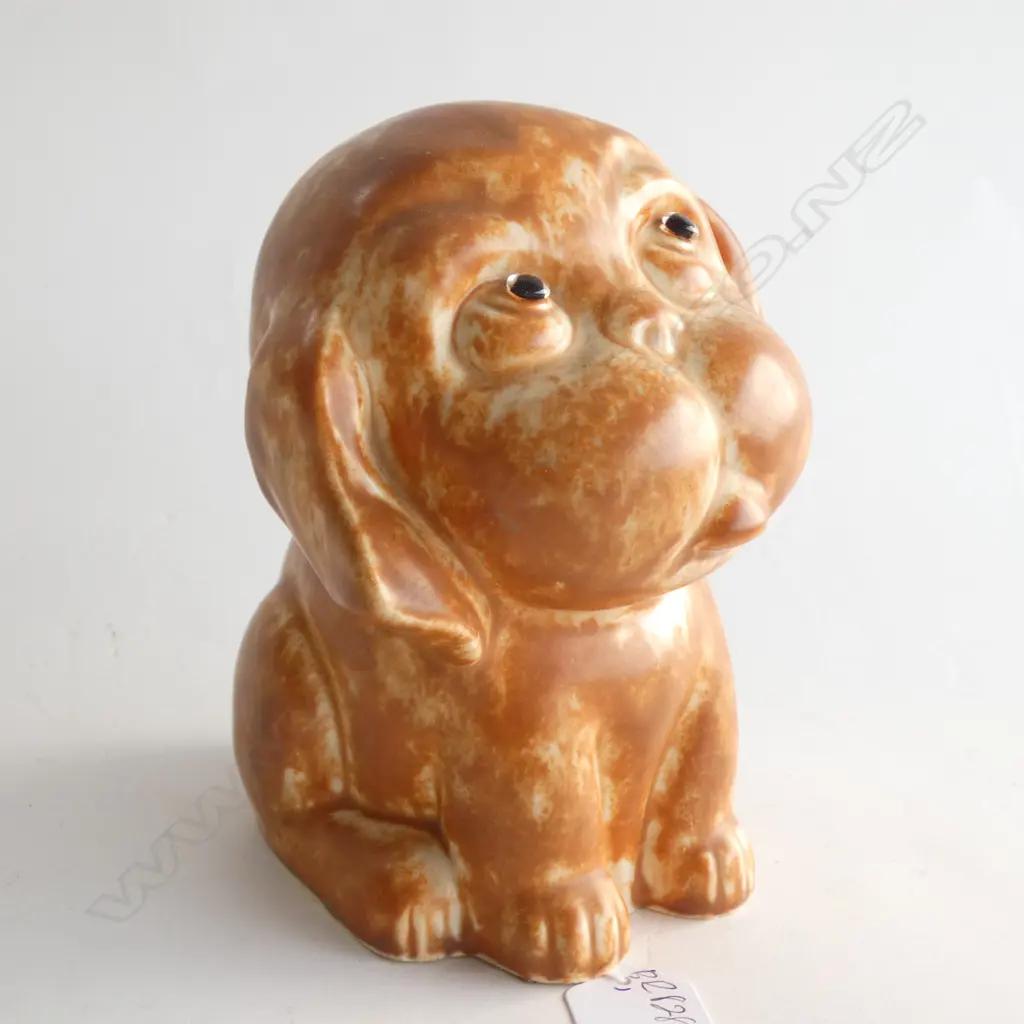A Crown Devon dog Image 1++